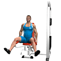ALLENAMENTO PALESTRA