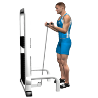 ALLENAMENTO PALESTRA