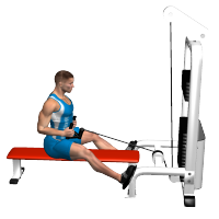 ALLENAMENTO PALESTRA