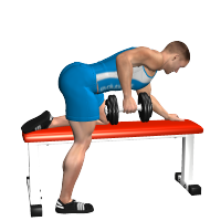 ALLENAMENTO PALESTRA
