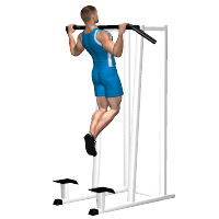 ALLENAMENTO PALESTRA