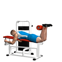 ALLENAMENTO PALESTRA