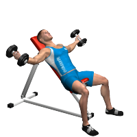 ALLENAMENTO PALESTRA