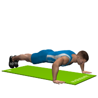 ALLENAMENTO PALESTRA