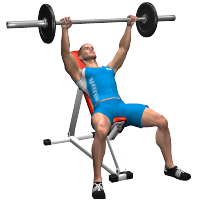 ALLENAMENTO PALESTRA