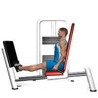 ALLENAMENTO PALESTRA