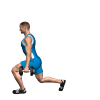 ALLENAMENTO PALESTRA