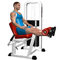 ALLENAMENTO PALESTRA