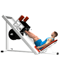 ALLENAMENTO PALESTRA