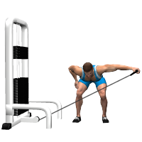 ALLENAMENTO PALESTRA