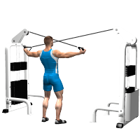 ALLENAMENTO PALESTRA