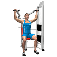 ALLENAMENTO PALESTRA