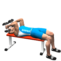 ALLENAMENTO PALESTRA