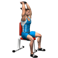 ALLENAMENTO PALESTRA