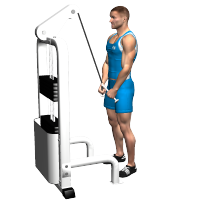 ALLENAMENTO PALESTRA